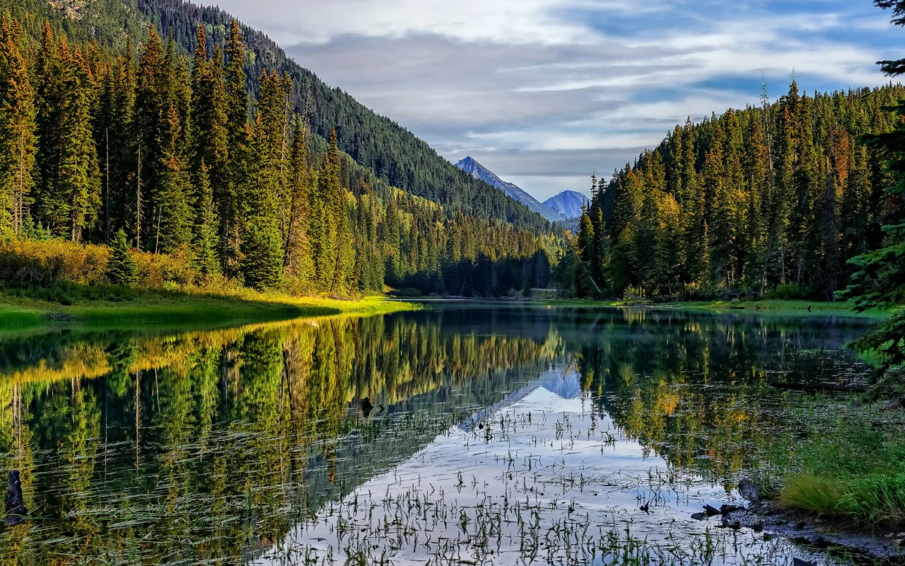 горы, лес, озеро
