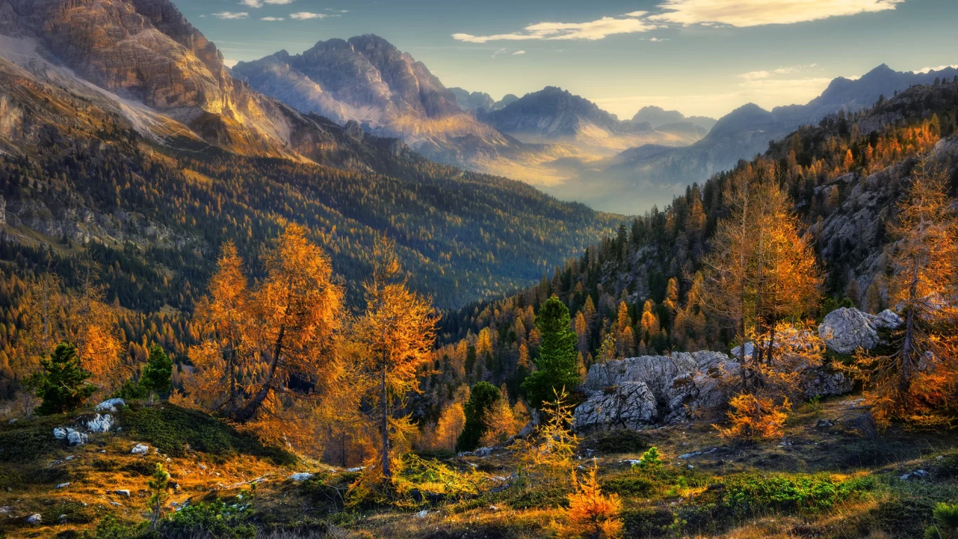 горы, деревья, лес, осень, природа, пейзаж