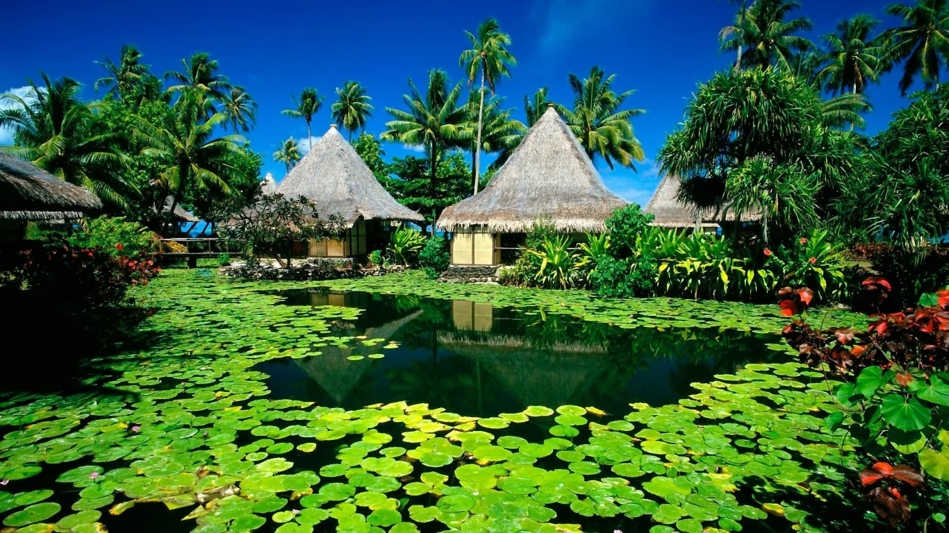 природа, nature, free, озер, paradise