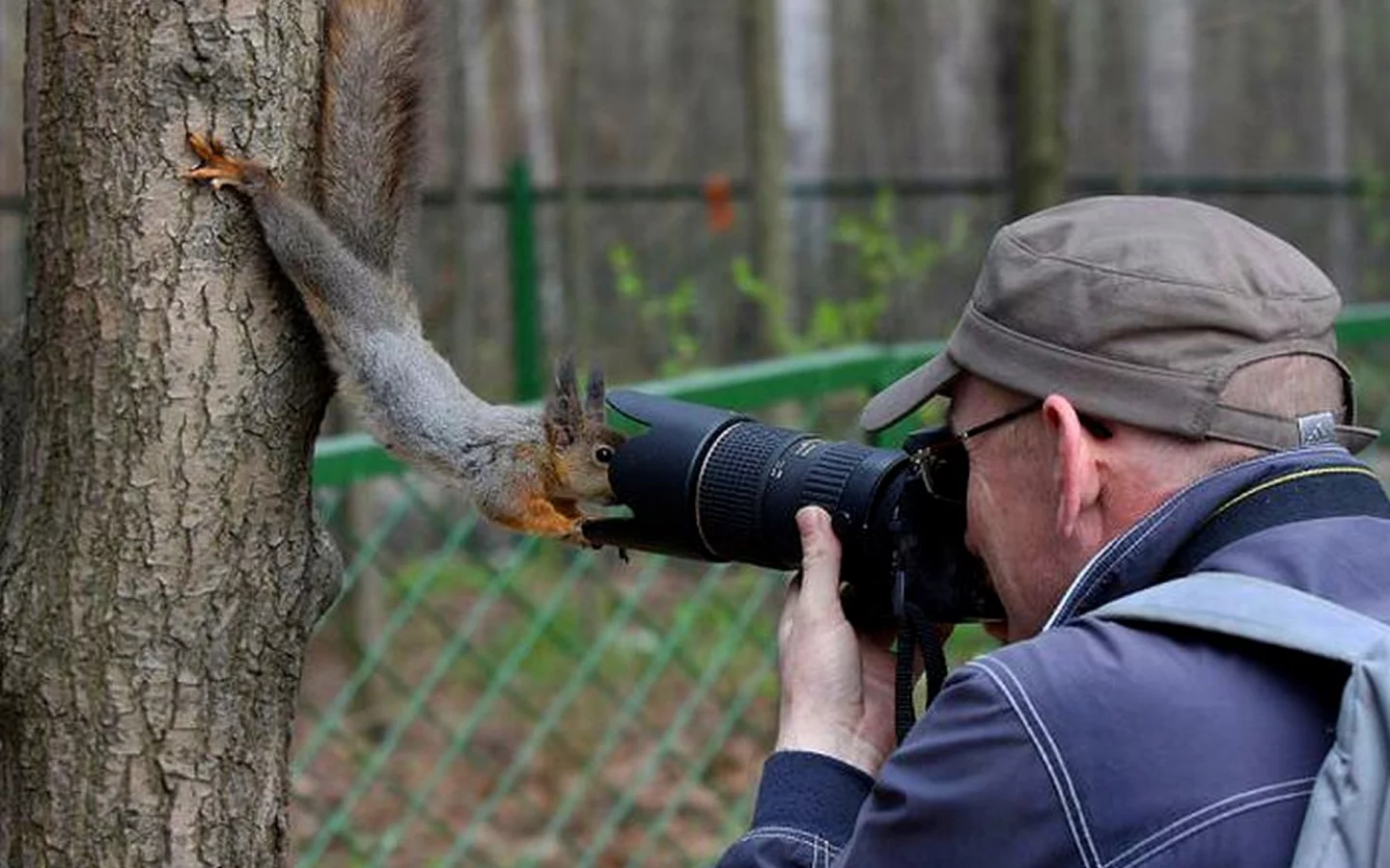 Фотограф, белка, съемка