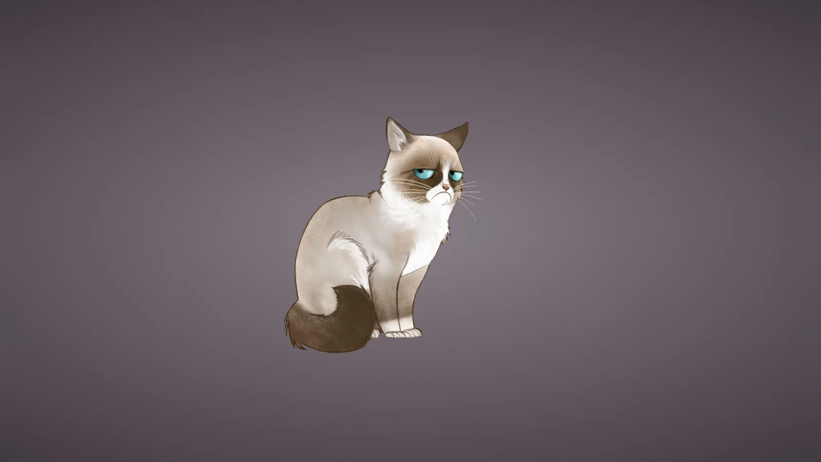 tardar sauce, соус тардар, кот, кошка, grumpy cat , сердитый котик