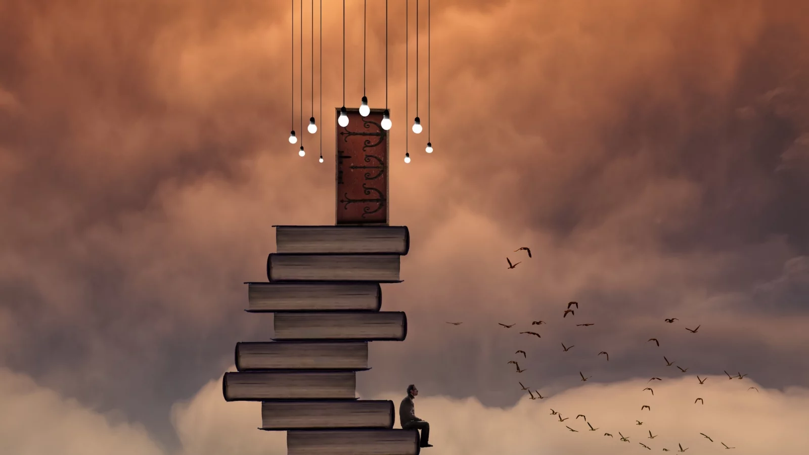 книги, небо, человек, дверь, птицы