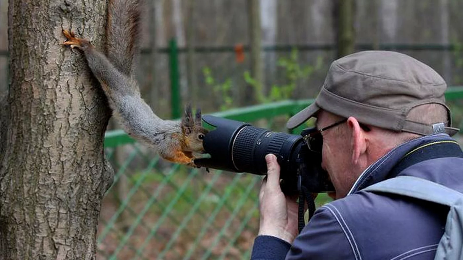 Фотограф, белка, съемка