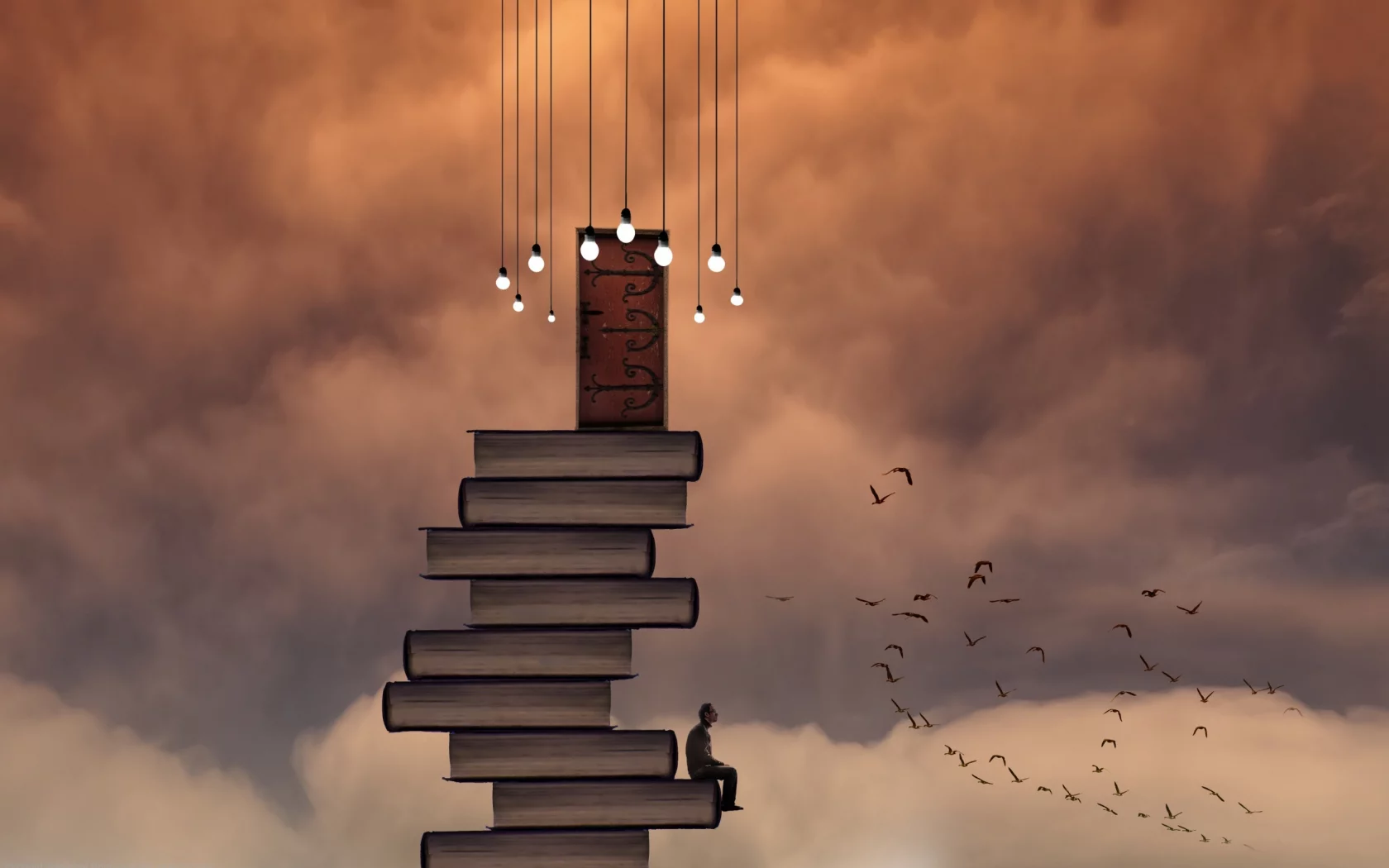 книги, небо, человек, дверь, птицы