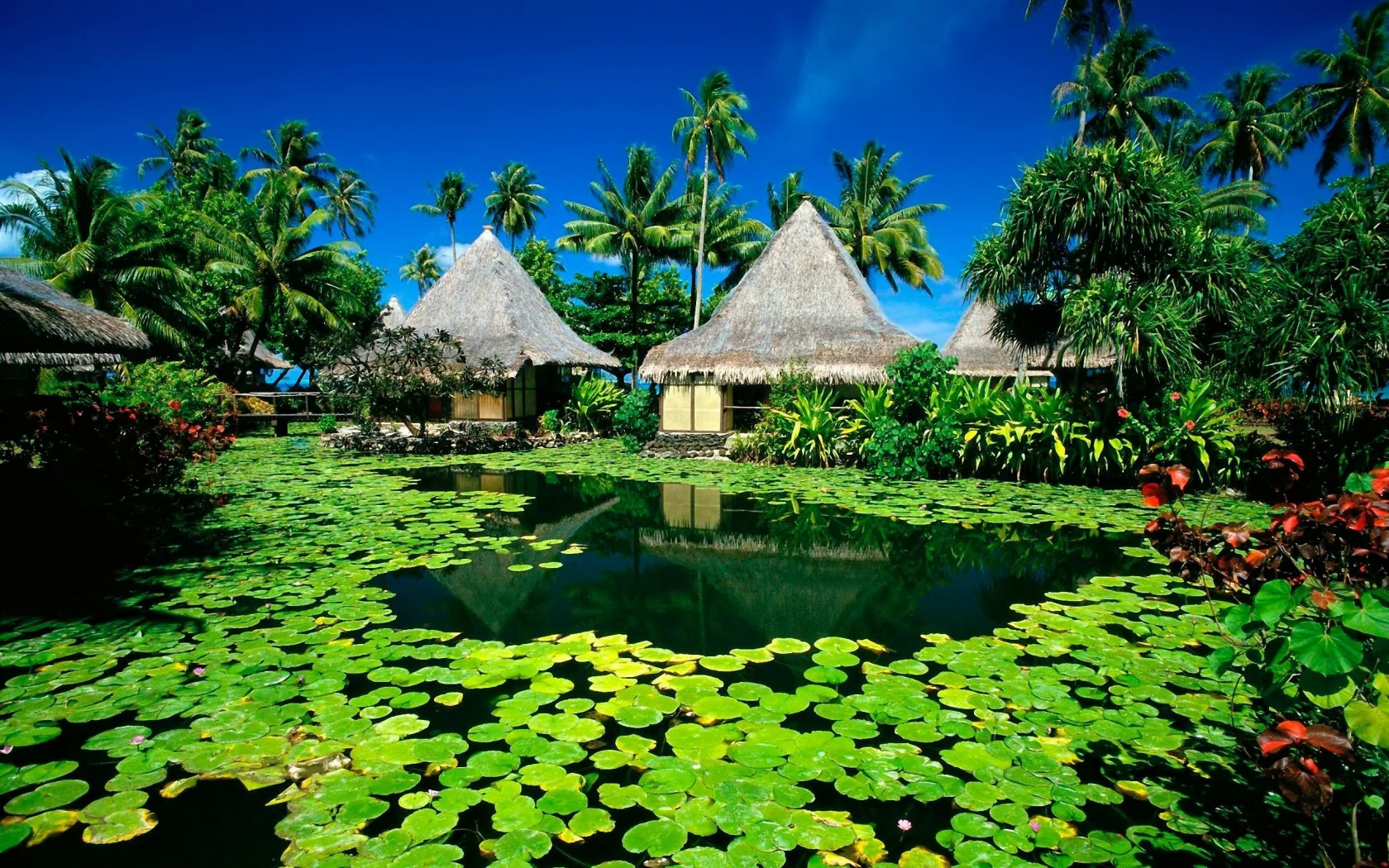 природа, nature, free, озер, paradise