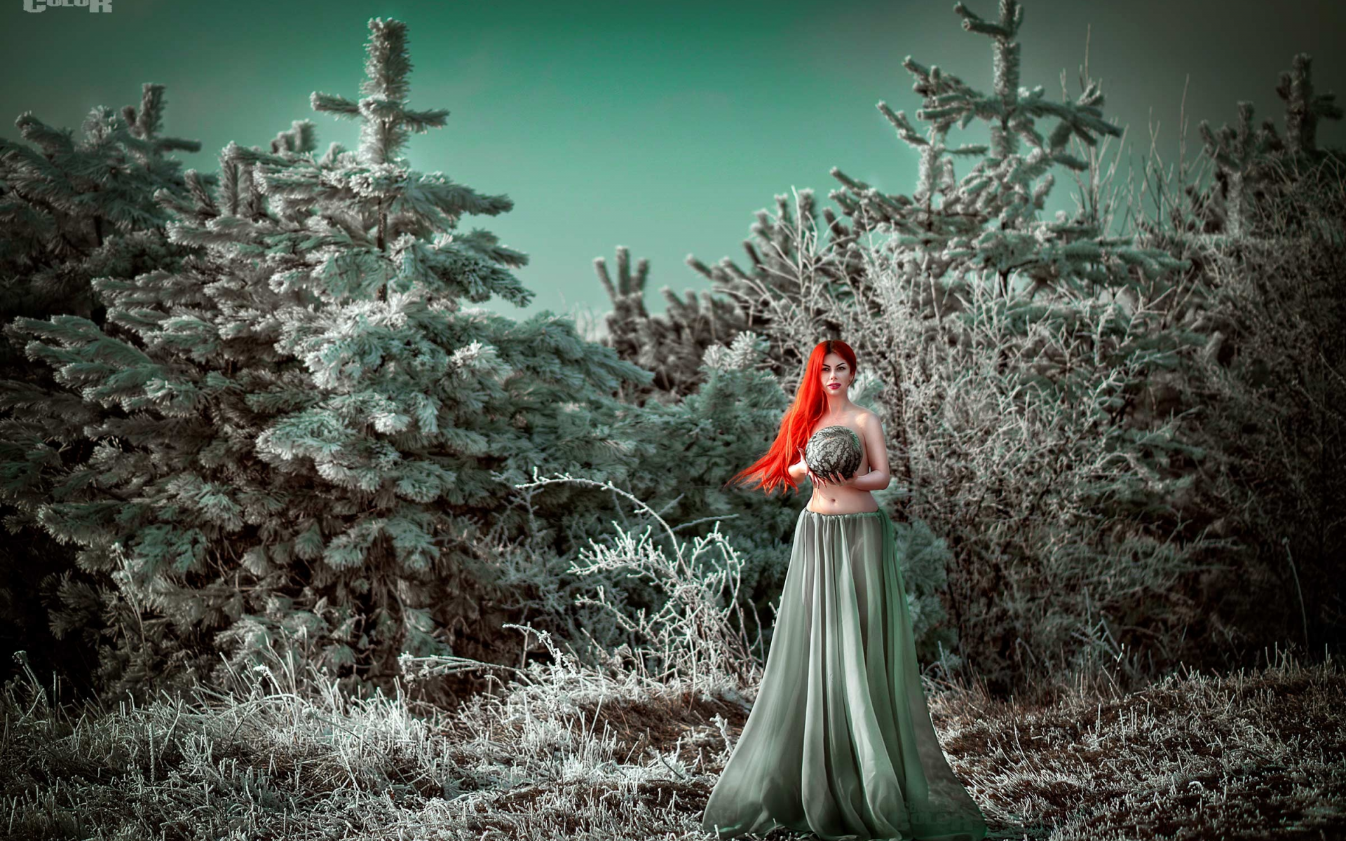 Фф и в морозном лесу я навеки. Сюрреализм снежного леса. Девушка в длинном на фоне деревьев с инеем. Заиндевевшая.