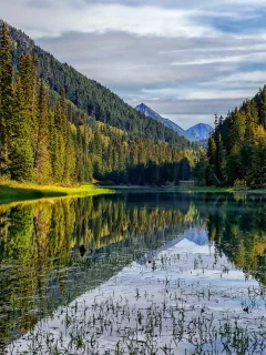 горы, лес, озеро