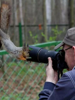 Фотограф, белка, съемка