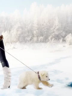 зима, снег, медведь