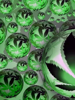 Фон, зелёный, шары, листья.