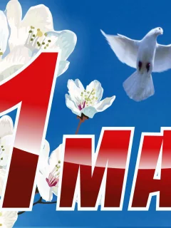 Фон, небо, голуби, цветы, первомай, лраздник весны.