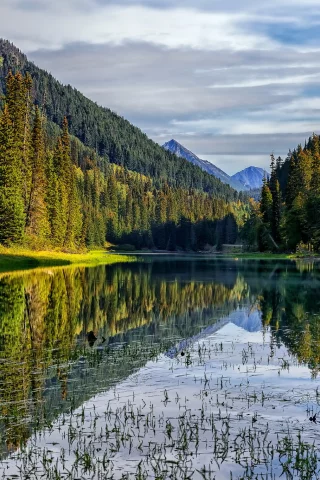 горы, лес, озеро