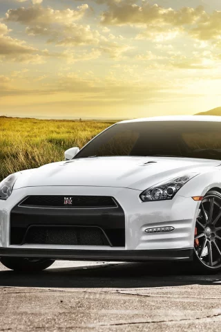 белый, nissan, ниссан, поле, front, блики, солнце, white, gt-r
