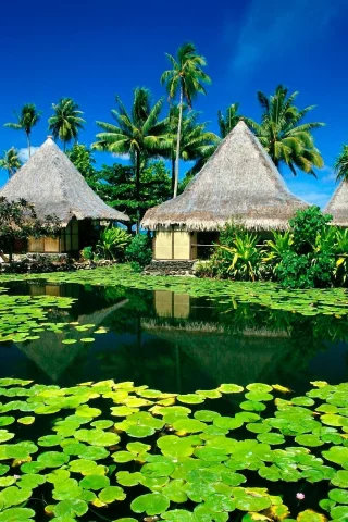 природа, nature, free, озер, paradise