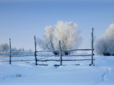 поле, забор, зима, снег, утро