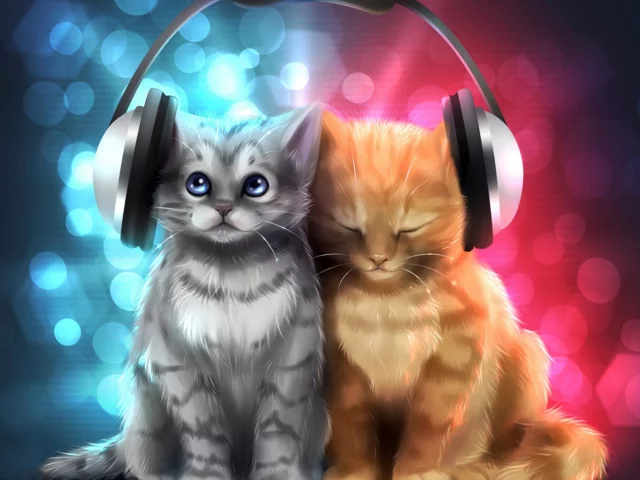 котята, наушники, меломаны, 3d