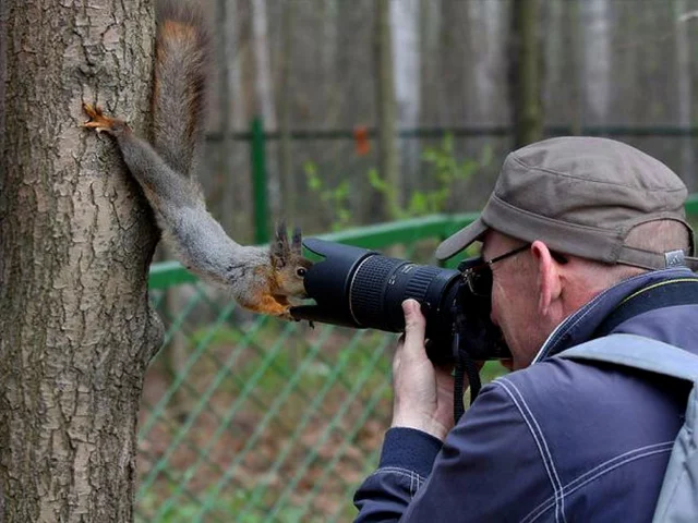 Фотограф, белка, съемка