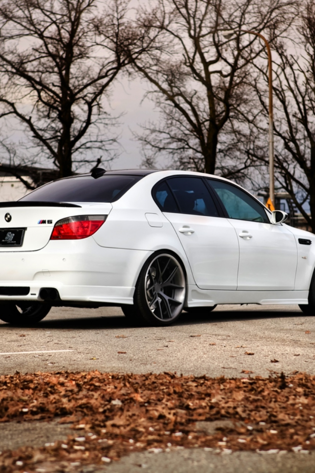 бмв, вид сзади, белый, парковка, m5, white, bmw, седан, e60