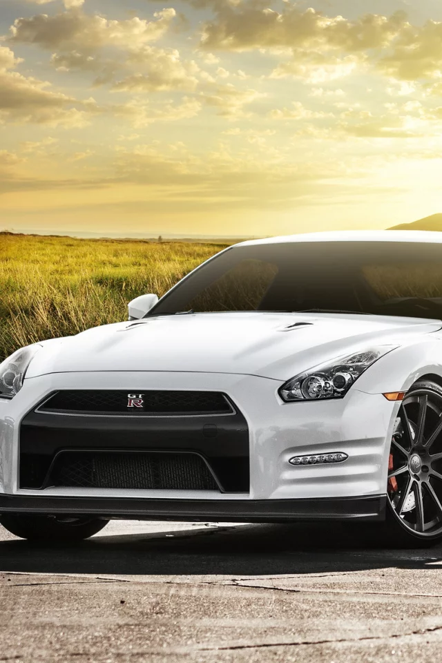 белый, nissan, ниссан, поле, front, блики, солнце, white, gt-r