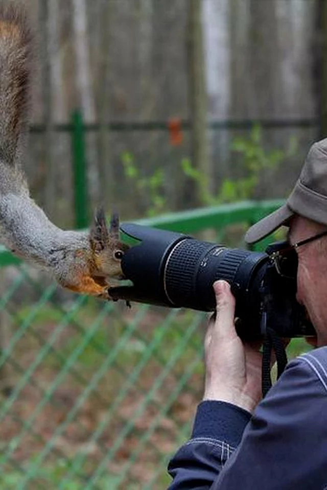 Фотограф, белка, съемка