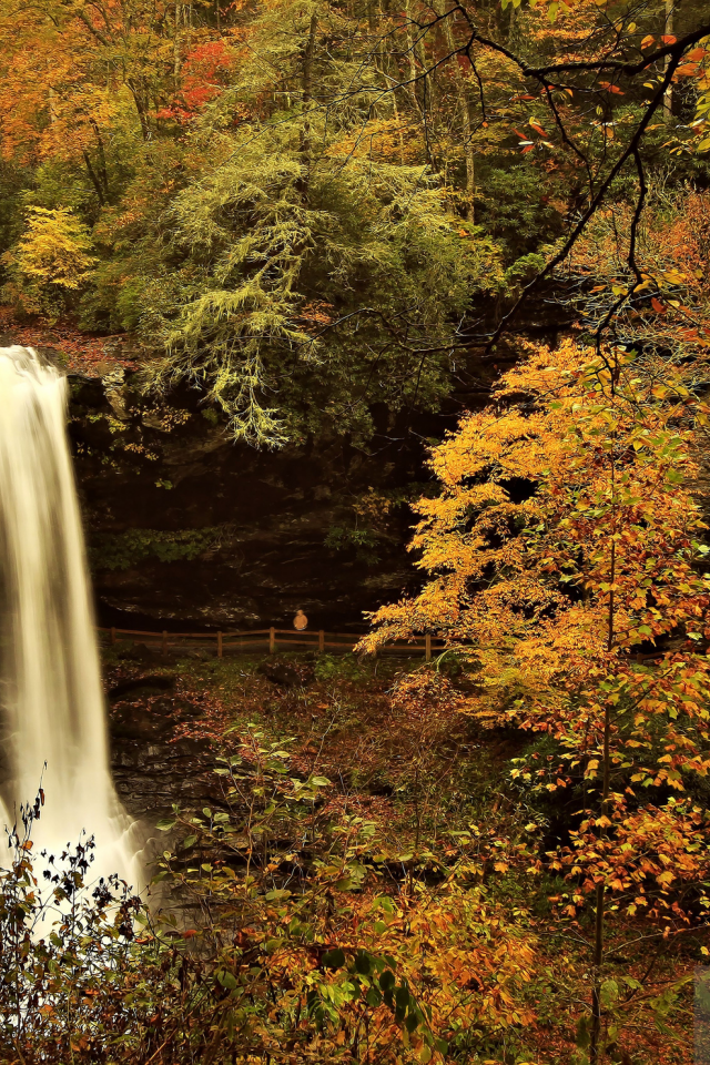 лес, река, осень, водопад
