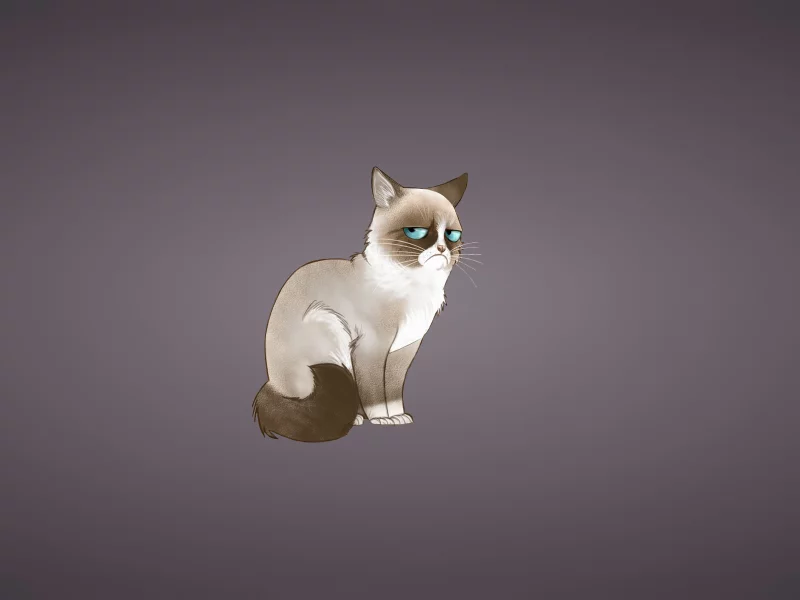 tardar sauce, соус тардар, кот, кошка, grumpy cat , сердитый котик
