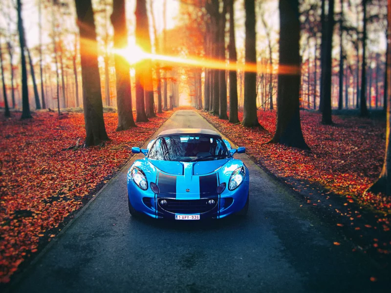 lotus, свет, осень, деревья, дорога