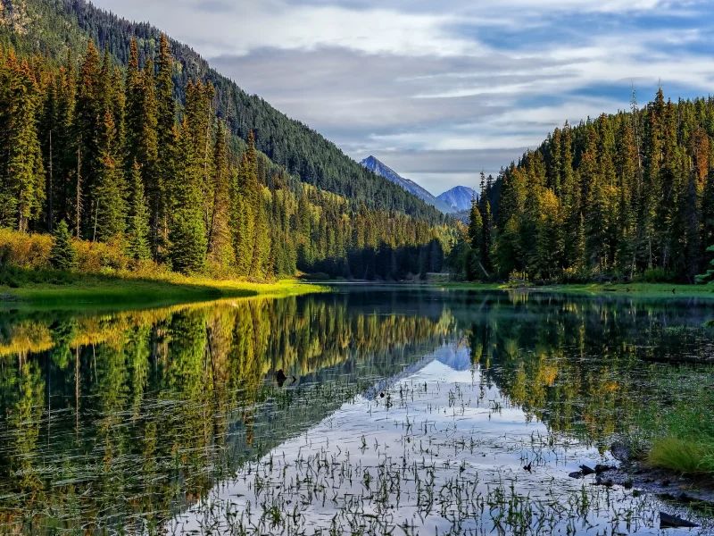горы, лес, озеро