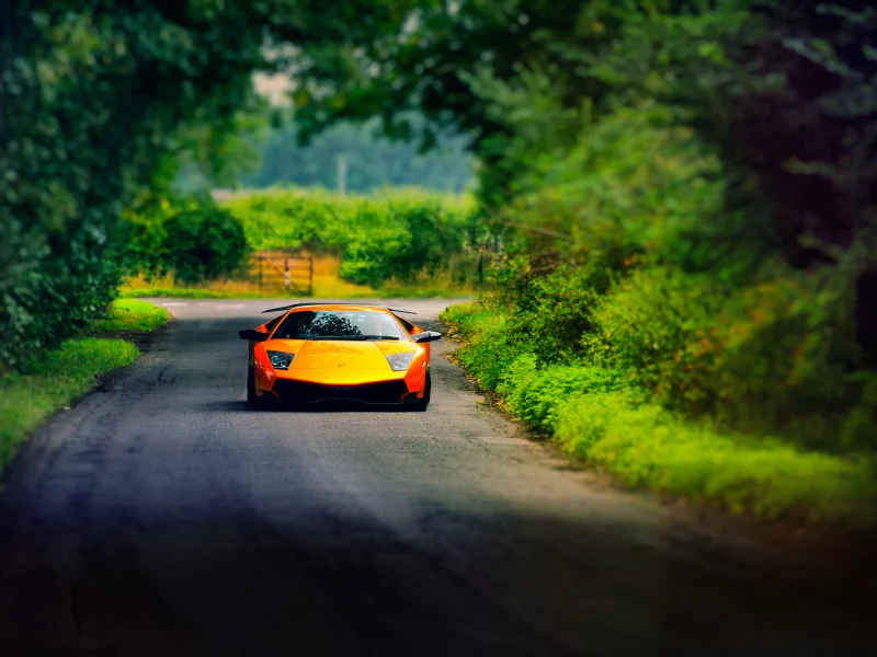 murcielago, lamborghini, дорога, лето