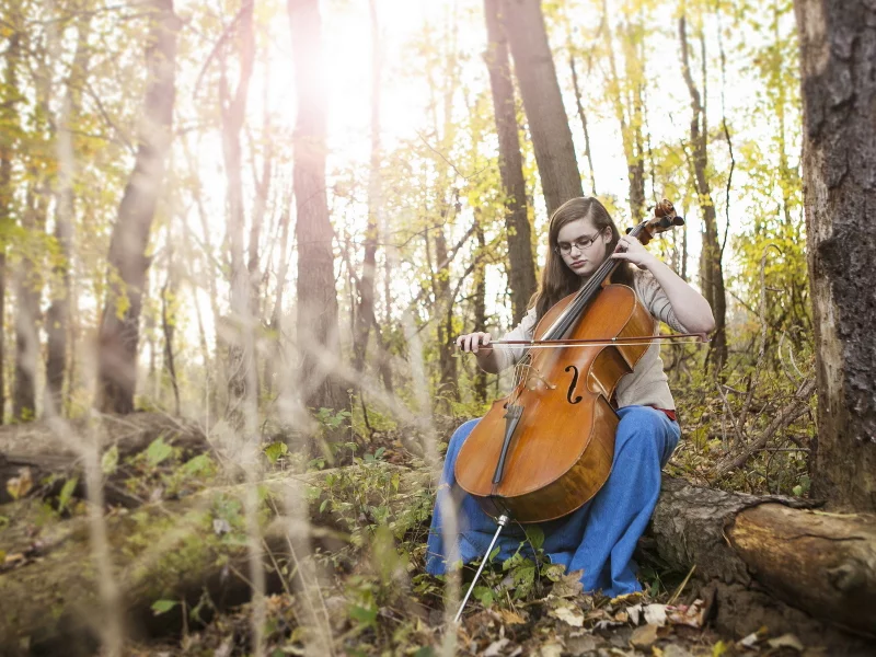 fall, cello, autumn