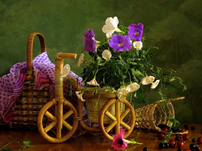 корзина, полевые, цветок, красивые, садовые, цветы