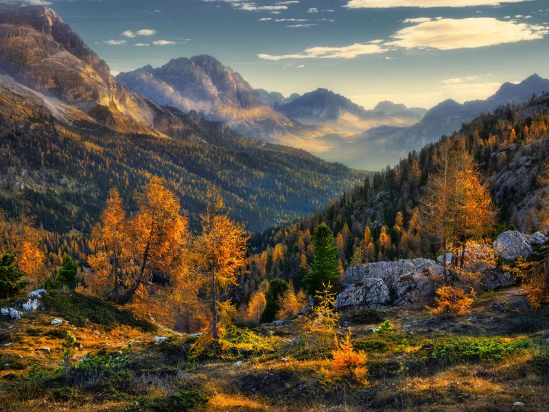 горы, деревья, лес, осень, природа, пейзаж