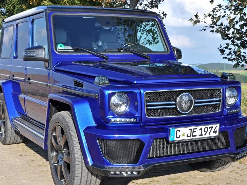 german-special-customs, mercedes-g-klasse-2014-4