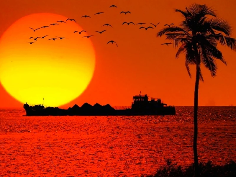 закат, море, корабль, птицы