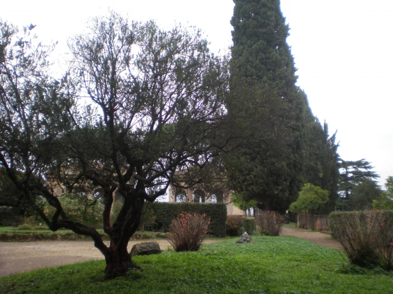Рим, Италия, Лацио, трава, деревья, парк, сад, Italia, Roma, Lazio