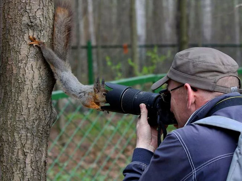 Фотограф, белка, съемка