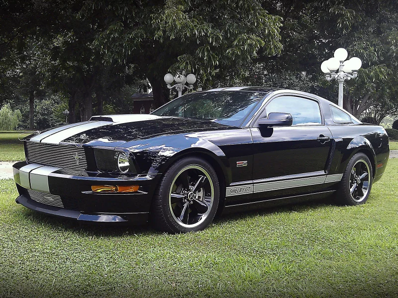 ЗеленЬ, трава, деревья, машина, Ford Shelby GT.