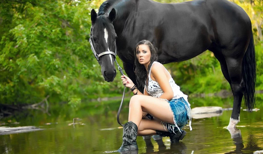 девушка, шорты, конь