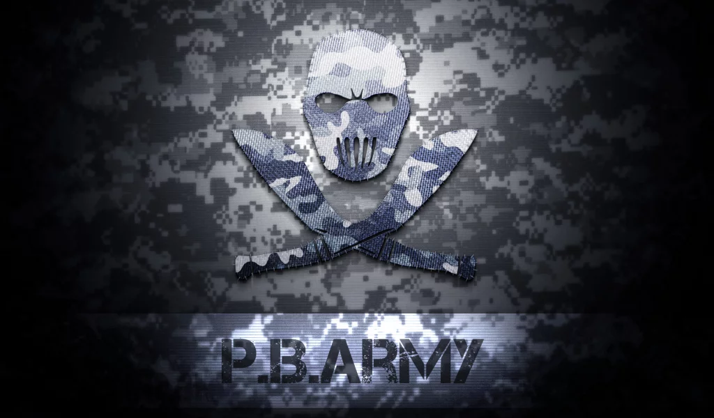 army, point blank, logo, комуфляж, texture, зимний, поинт бланк