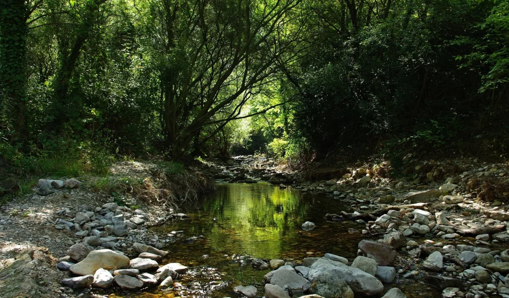 priroda, reka