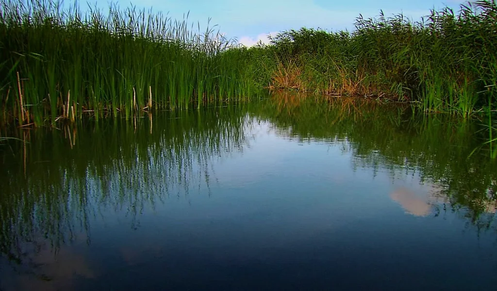 природа, вода