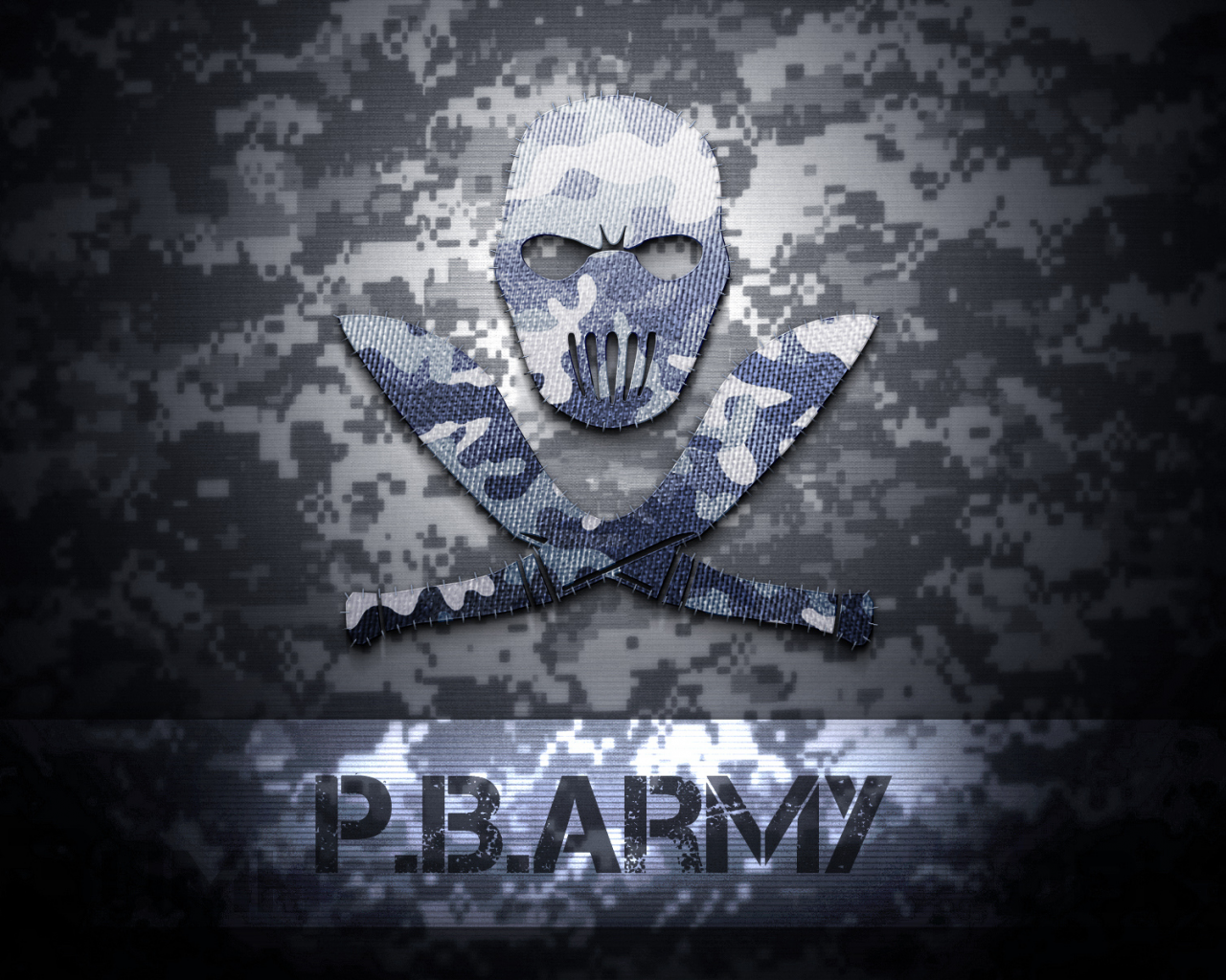 army, point blank, logo, комуфляж, texture, зимний, поинт бланк