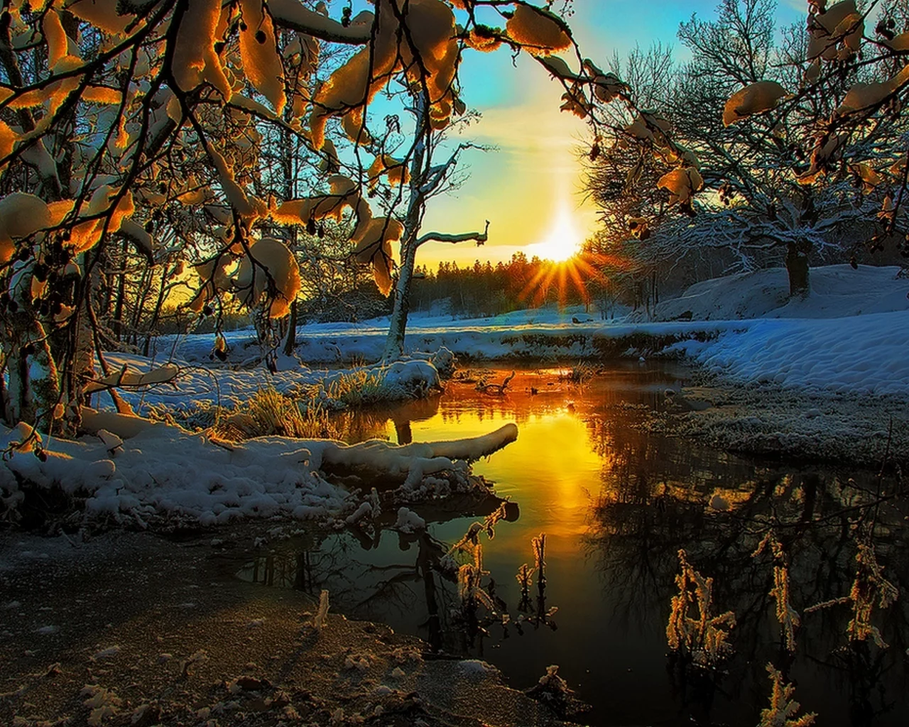 sky, ice, nature, tree, hdr, clouds, winter, season, scenery, sunset, colors, landscape, view, snow