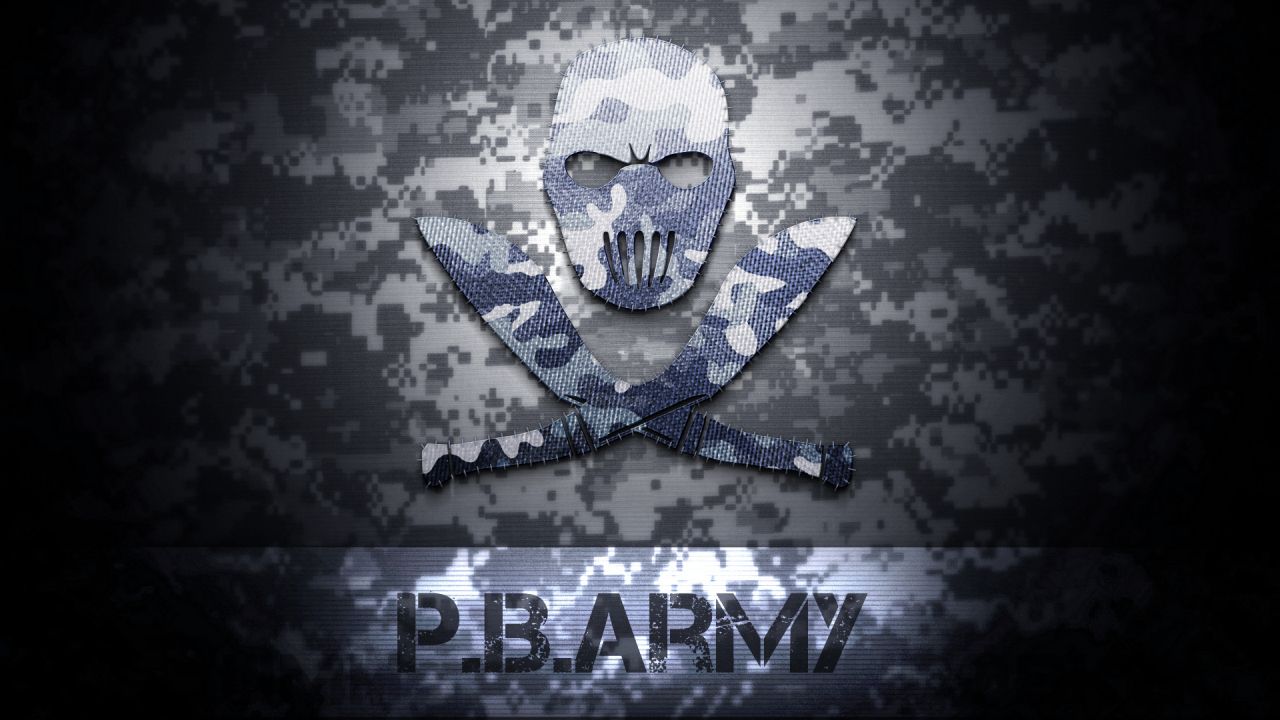 army, point blank, logo, комуфляж, texture, зимний, поинт бланк