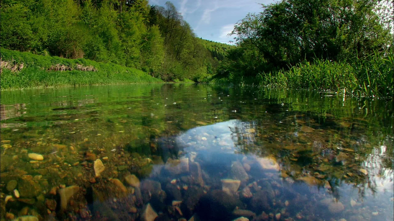 природа, вода, ручей