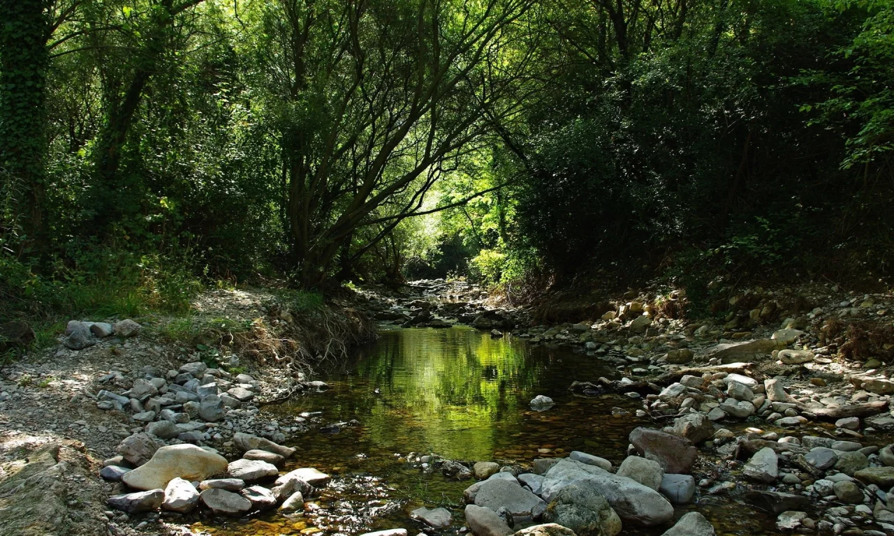 priroda, reka