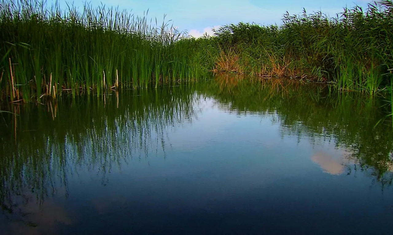 природа, вода