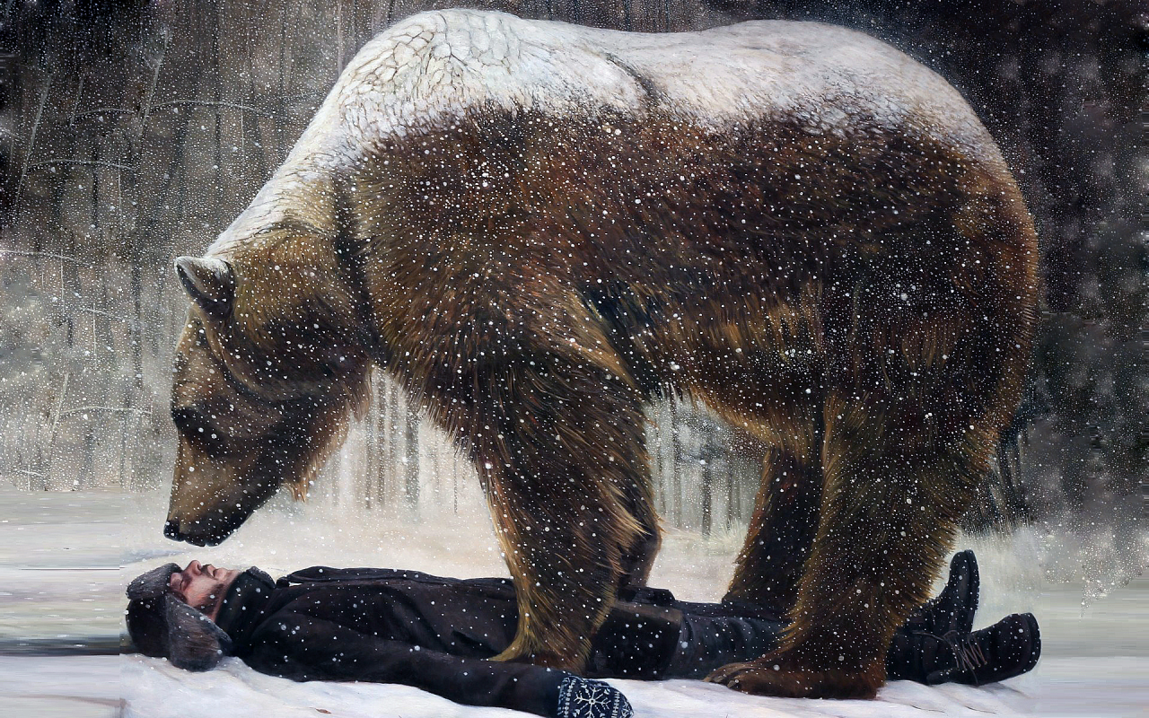 Зима, снег, человек, зверь, медведь, рисунок.