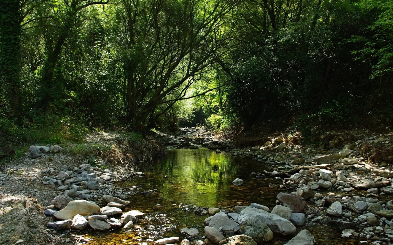 priroda, reka