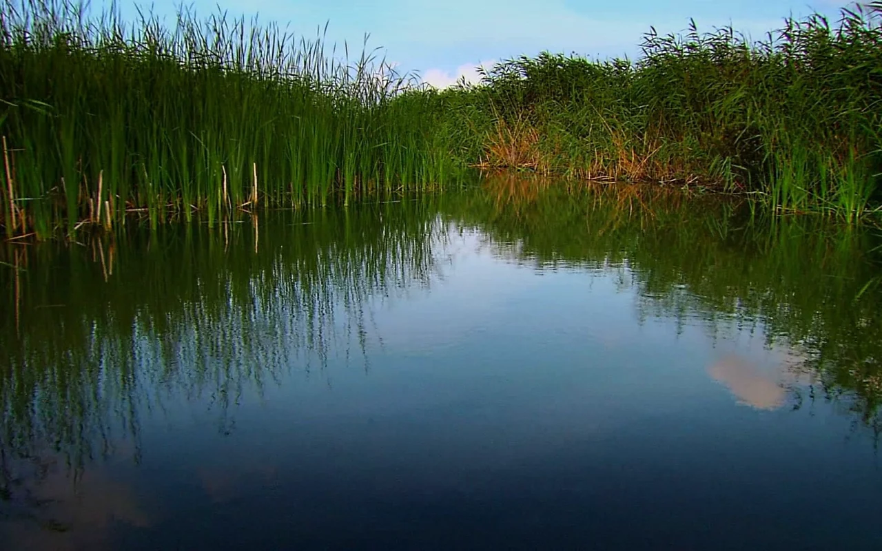 природа, вода